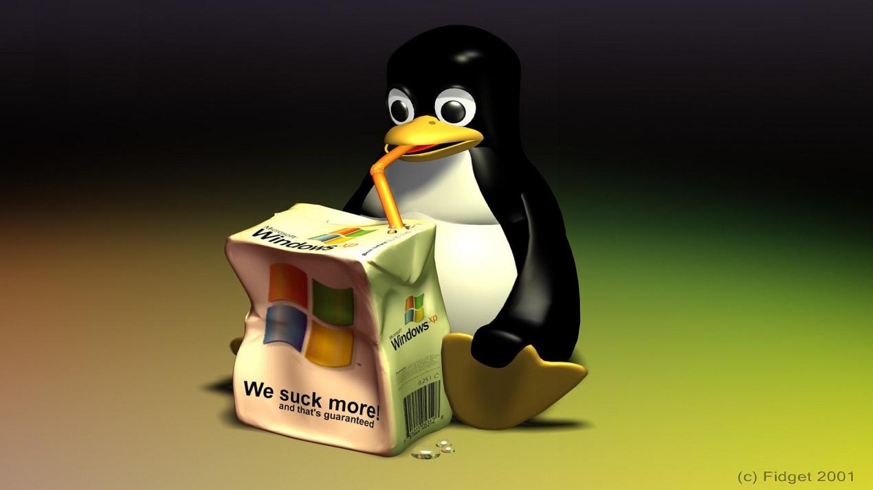 Automatizzare le attività con la riga di comando Linux: liberare la potenza degli script